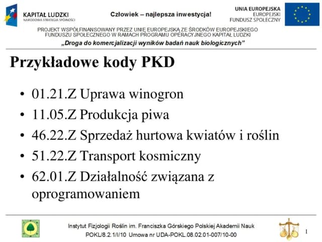 Kody PKD zwolnione z ZUS: Uniknij wysokich składek i zaoszczędź pieniądze Kody PKD zwolnione z ZUS: Uniknij wysokich składek i zaoszczędź pieniądze