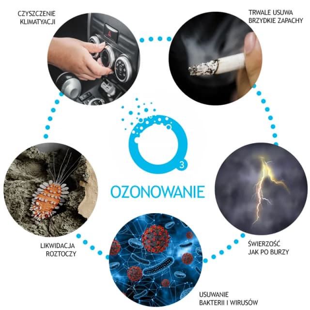 Ozonowanie w firmie: Jak wybrać właściwy kod PKD dla usług dezynfekcji? Ozonowanie w firmie: Jak wybrać właściwy kod PKD dla usług dezynfekcji?